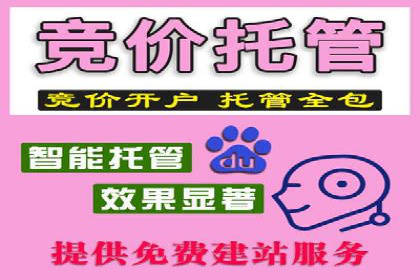 SEM推广案例：打造高效广告投放方案